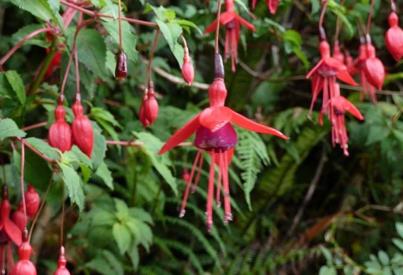 فندق Golf Links View Bed&Breakfast