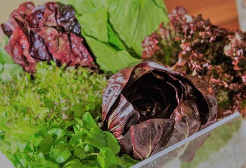 Hotel Karuizawa Elegance