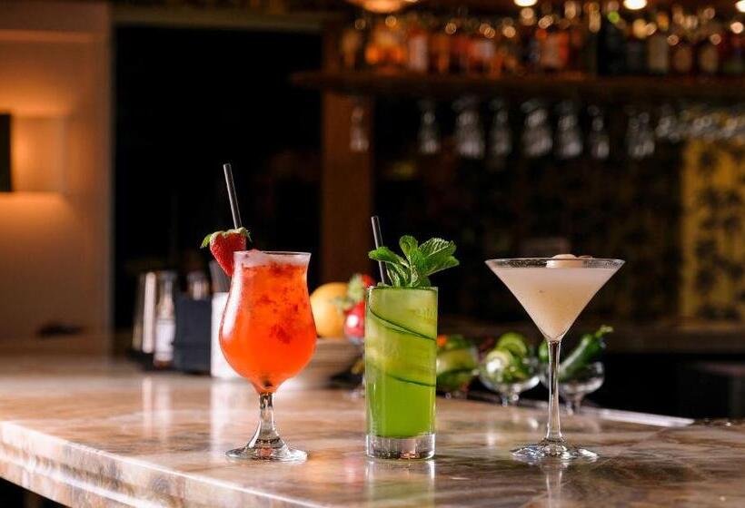 בית מלון כפרי The Plymouth South Beach