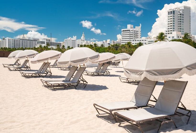 בית מלון כפרי The Plymouth South Beach