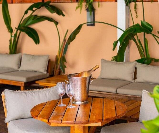 בית מלון כפרי The Plymouth South Beach