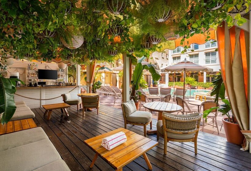 בית מלון כפרי The Plymouth South Beach