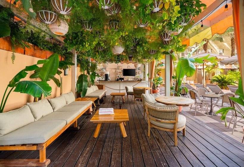 בית מלון כפרי The Plymouth South Beach