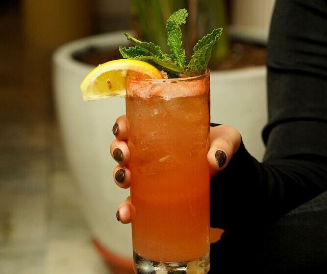 בית מלון כפרי The Plymouth South Beach