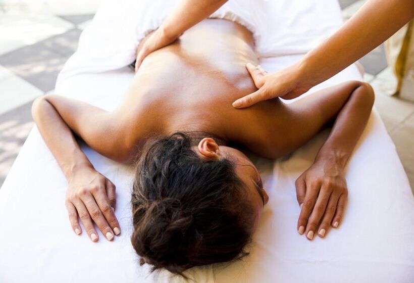 בית מלון כפרי The Plymouth South Beach