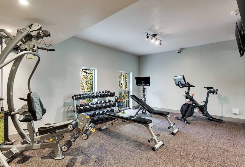 בית מלון כפרי The Plymouth South Beach