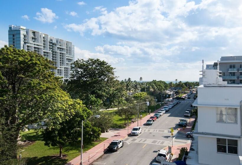 בית מלון כפרי The Plymouth South Beach