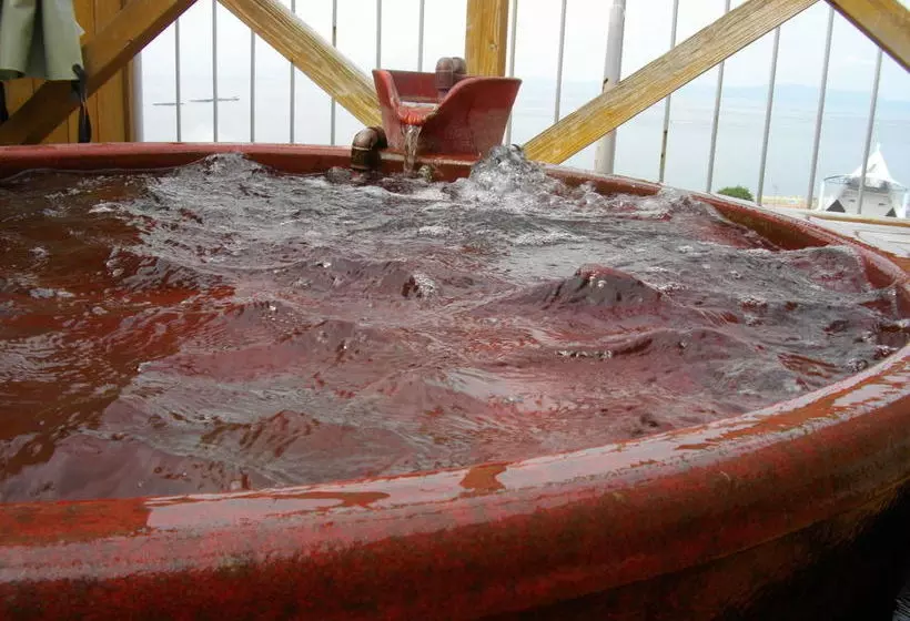 Hotelli Tsutaya Ryokan