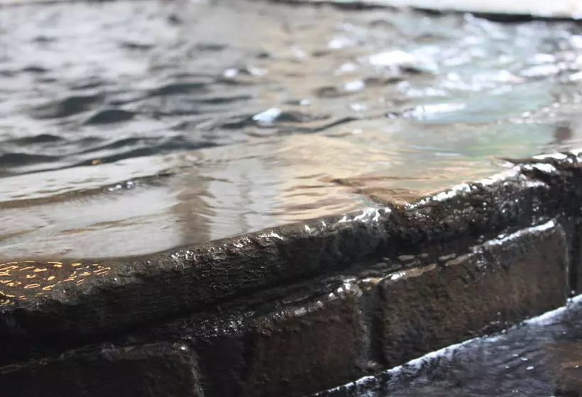 Hotelli Tsutaya Ryokan