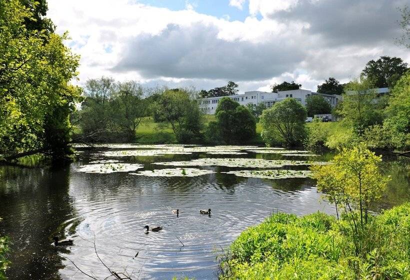 Отель Willow Court   Hostel