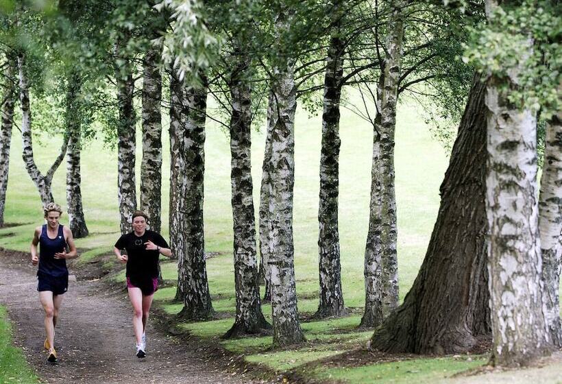 Отель Willow Court   Hostel