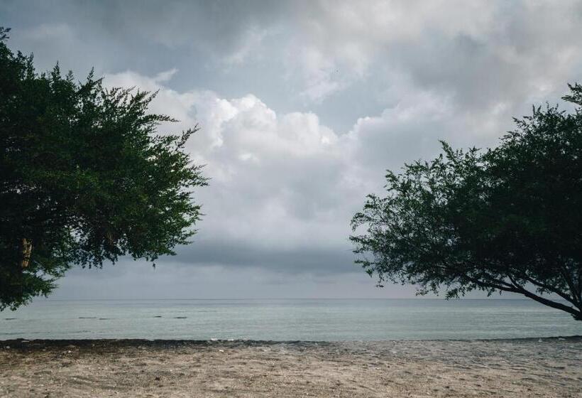 ホテル Love Coconut Bungalow