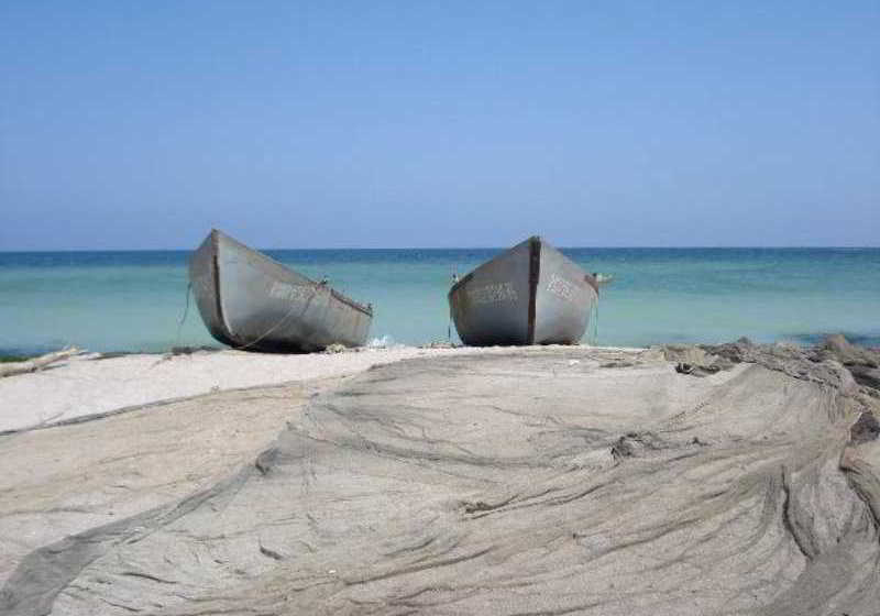 旅馆 Bazart Vama Veche