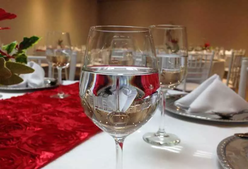 Bluu Hotel Aeropuerto Monclova Frontera