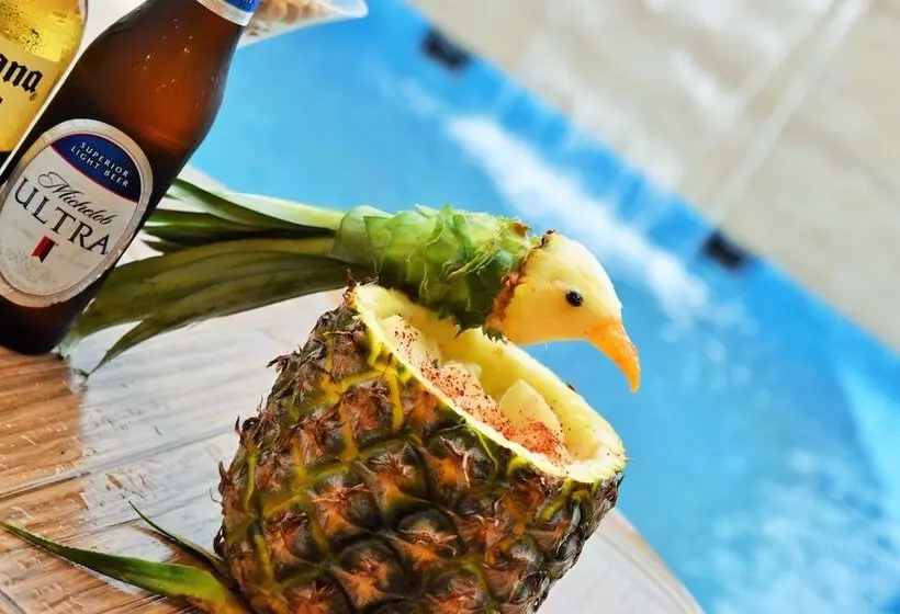 Bluu Hotel Aeropuerto Monclova Frontera