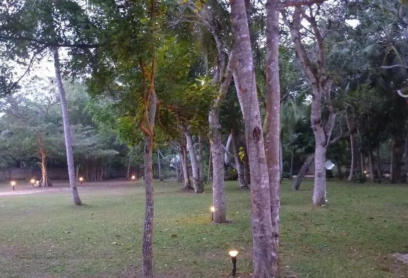 Dansala Cottage