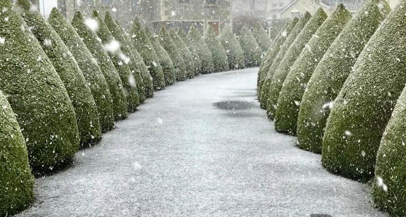 Glendale Bed And Breakfast, Cushendall