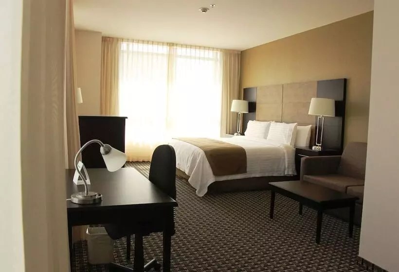 ホテル Holiday Inn Mexico Santa Fe, An Ihg
