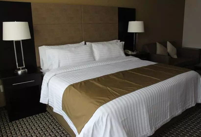 ホテル Holiday Inn Mexico Santa Fe, An Ihg