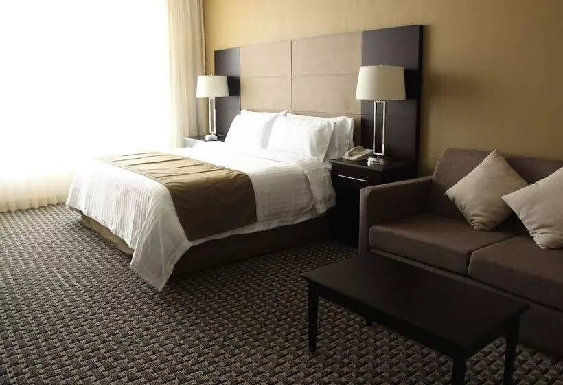 ホテル Holiday Inn Mexico Santa Fe, An Ihg