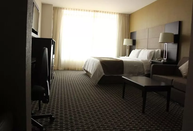 ホテル Holiday Inn Mexico Santa Fe, An Ihg