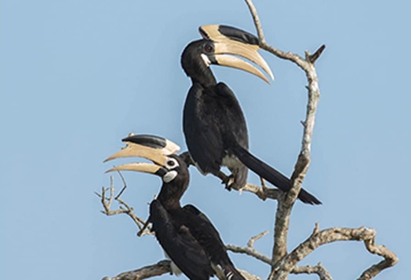 ホテル Mahoora Yala By Eco Team