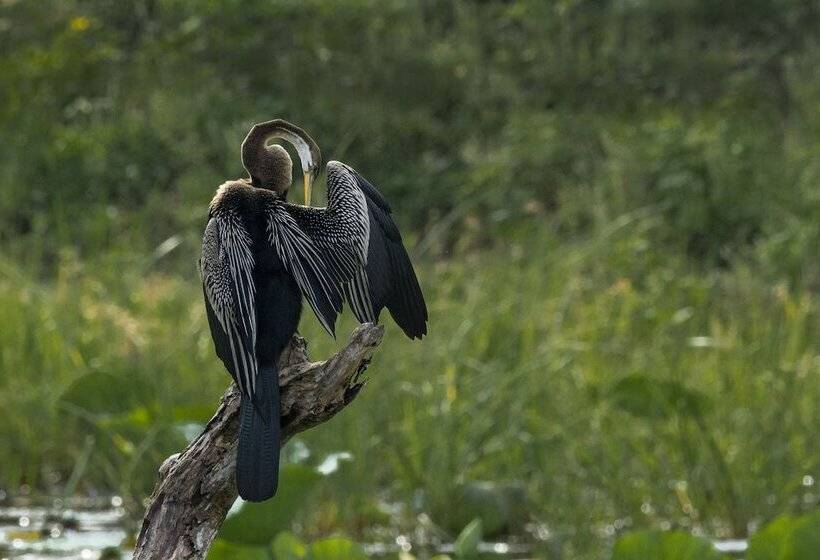 ホテル Mahoora Yala By Eco Team