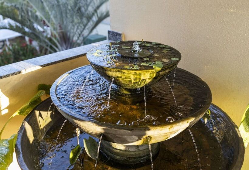 Otel Pousada Ceara  Porto Das Dunas