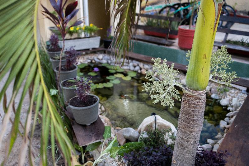 Otel Pousada Ceara  Porto Das Dunas