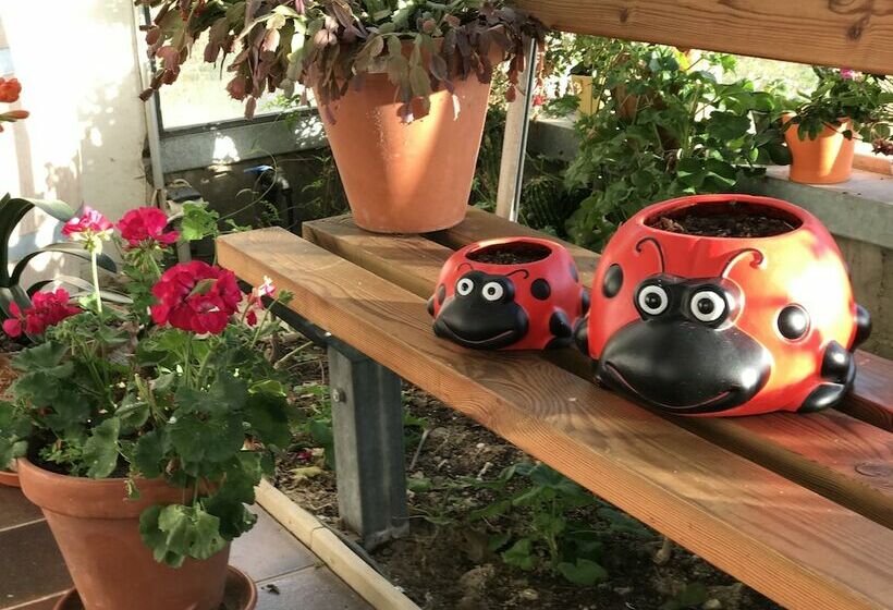 乡村酒店 Casa Rural Marialba