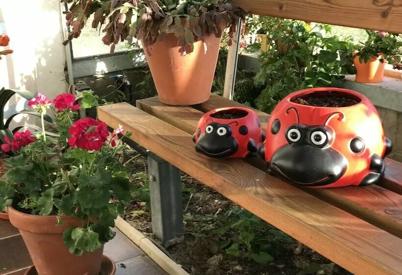 田舎風ホテル Casa Rural Marialba