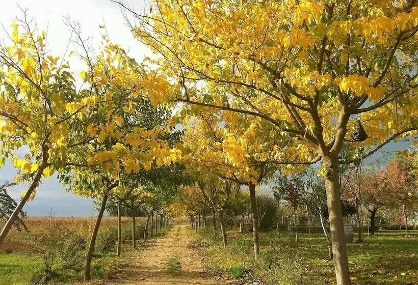 田舎風ホテル Casa Rural Marialba