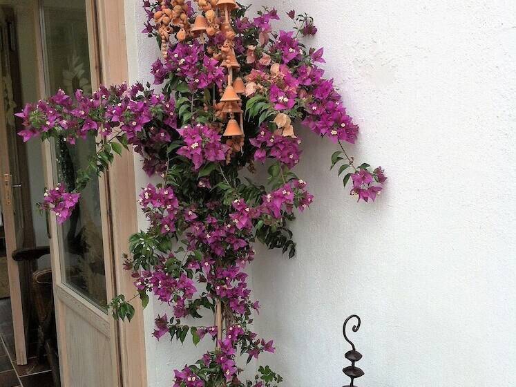 乡村酒店 Casa Rural Marialba