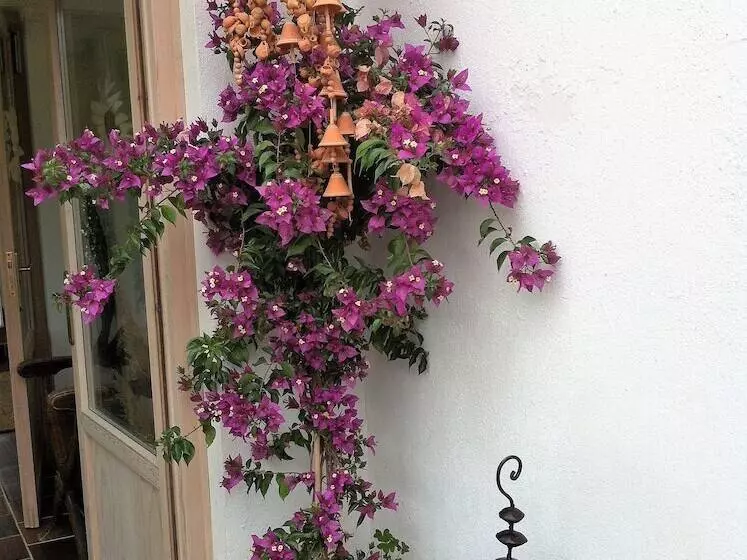 田舎風ホテル Casa Rural Marialba