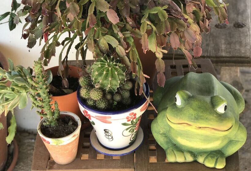 乡村酒店 Casa Rural Marialba