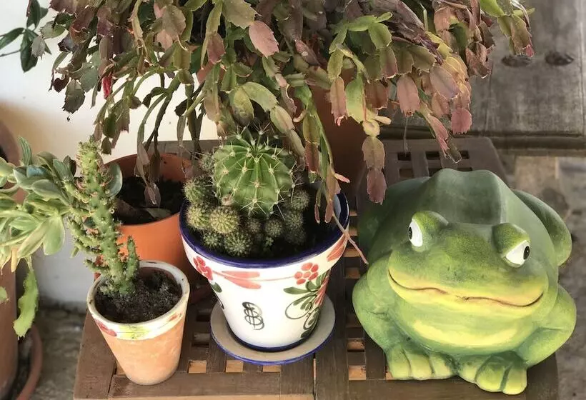 田舎風ホテル Casa Rural Marialba