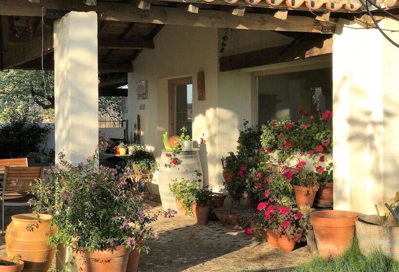 乡村酒店 Casa Rural Marialba