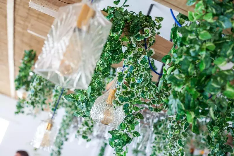 ホテル Tinas Plus