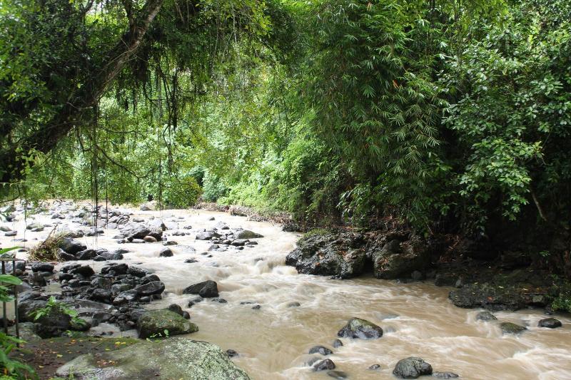 호텔 Yeh Panes Bali