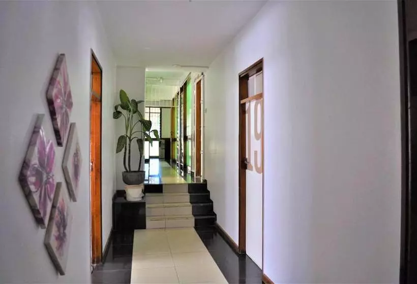 هاستل Natwange Backpackers