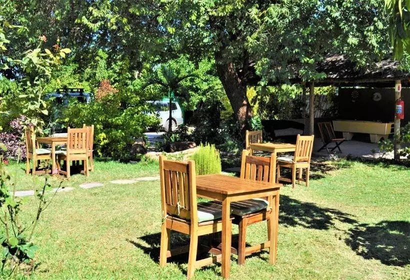 هاستل Natwange Backpackers