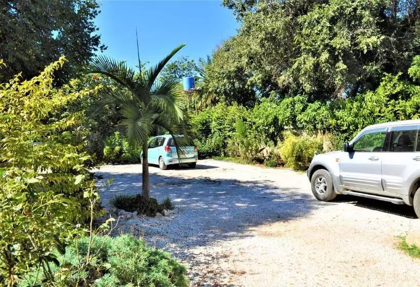 هاستل Natwange Backpackers