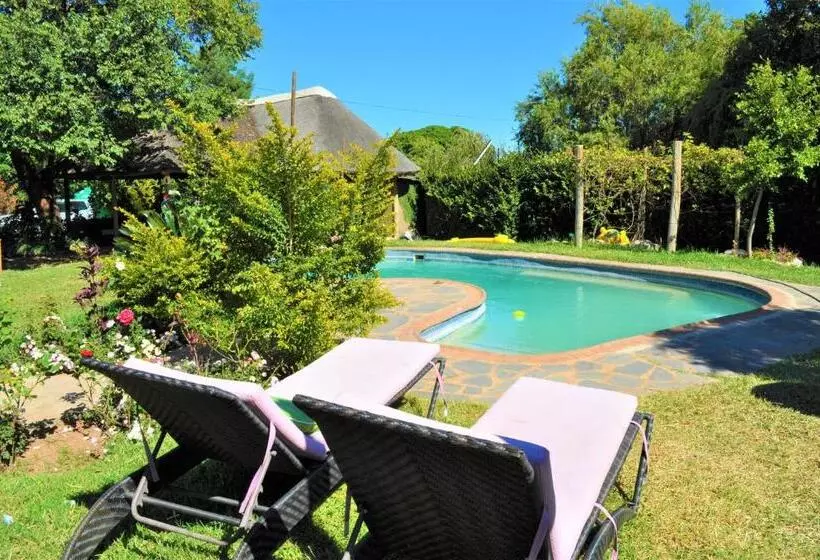 هاستل Natwange Backpackers