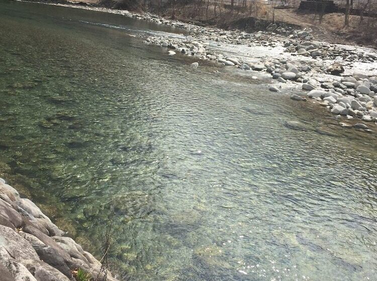 Alpine Lodge   Hostel