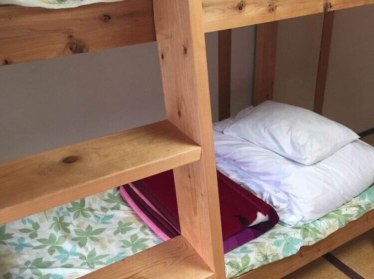 Alpine Lodge   Hostel