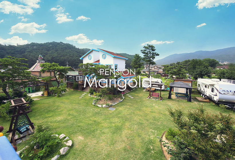 Marigold Pension