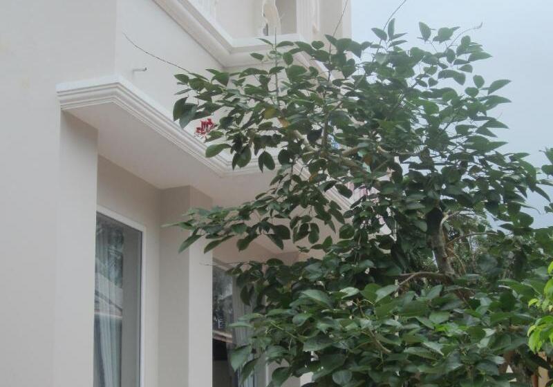 پانسیون Gia Thanh Phu Quoc Guest House