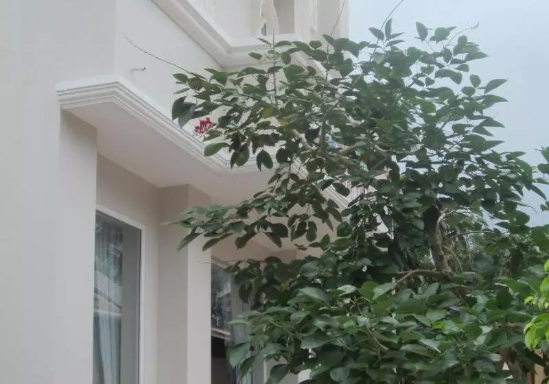 پانسیون Gia Thanh Phu Quoc Guest House