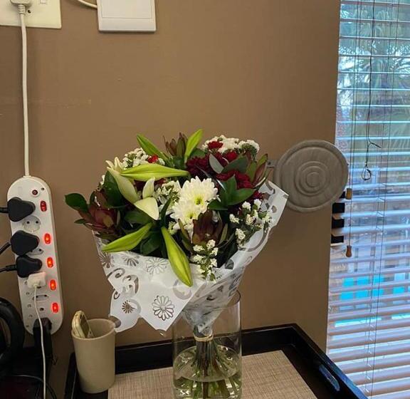 膳宿费 La Dolce Vita Guest House