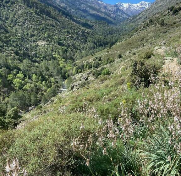 مبيت وإفطار U Pasturellu